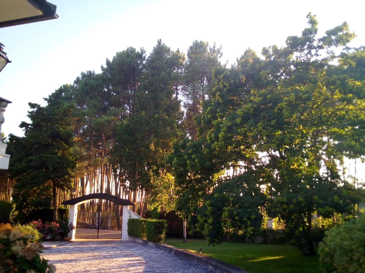 Pinheirinhos - Quinta De Sao Caetano Villa Carapito Dış mekan fotoğraf