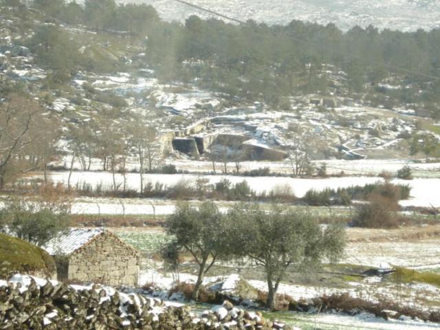 Pinheirinhos - Quinta De Sao Caetano Villa Carapito Dış mekan fotoğraf