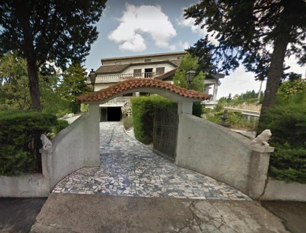 Pinheirinhos - Quinta De Sao Caetano Villa Carapito Dış mekan fotoğraf