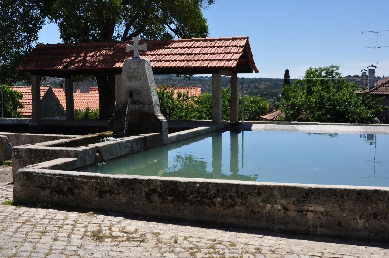 Pinheirinhos - Quinta De Sao Caetano Villa Carapito Dış mekan fotoğraf