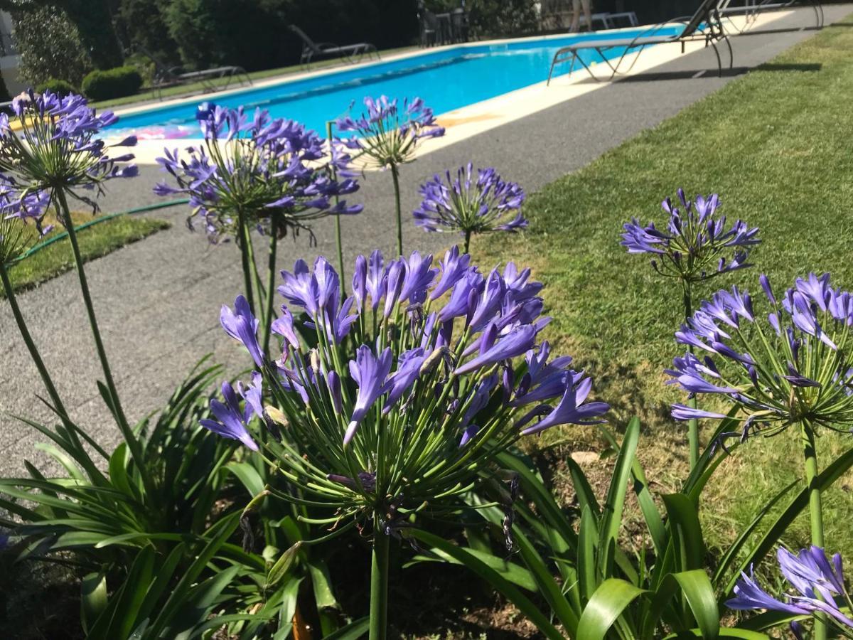 Pinheirinhos - Quinta De Sao Caetano Villa Carapito Dış mekan fotoğraf