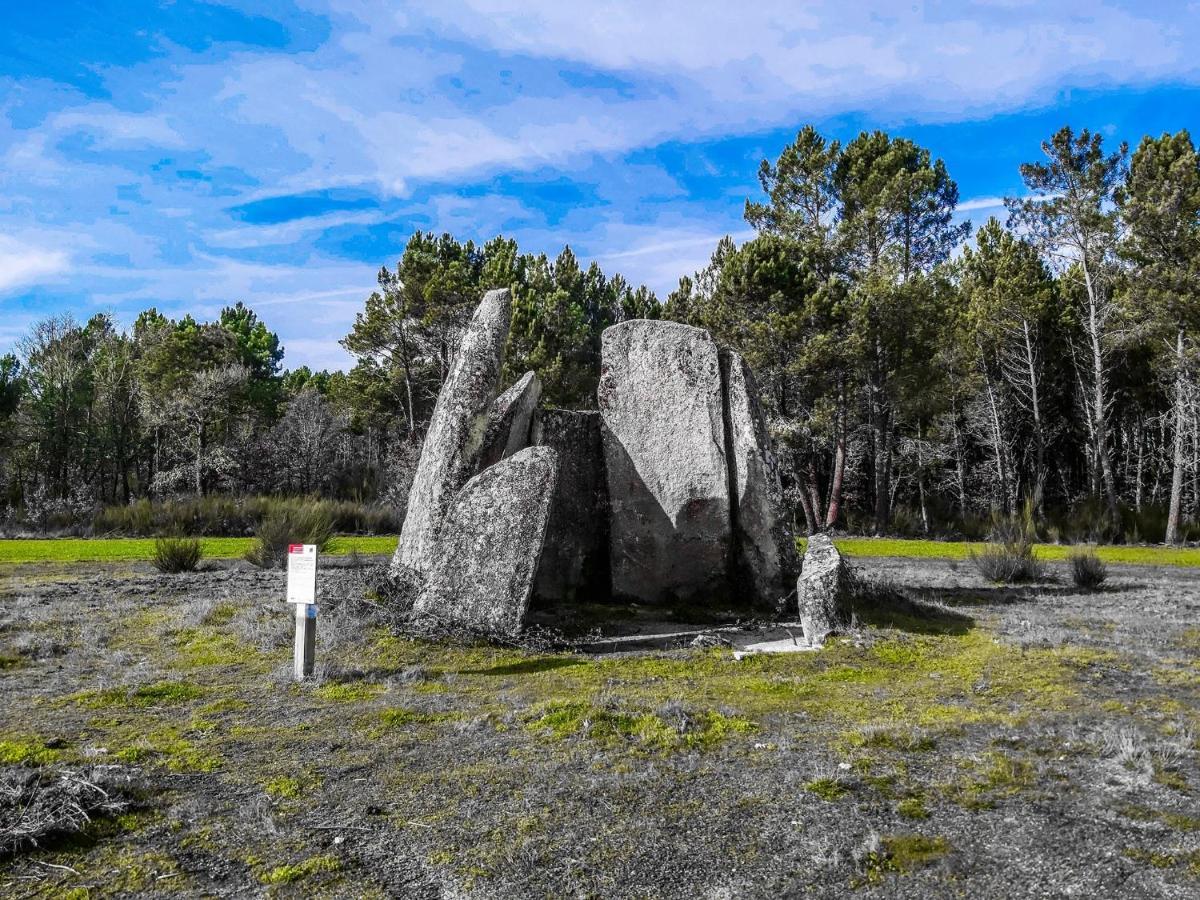 Pinheirinhos - Quinta De Sao Caetano Villa Carapito Dış mekan fotoğraf