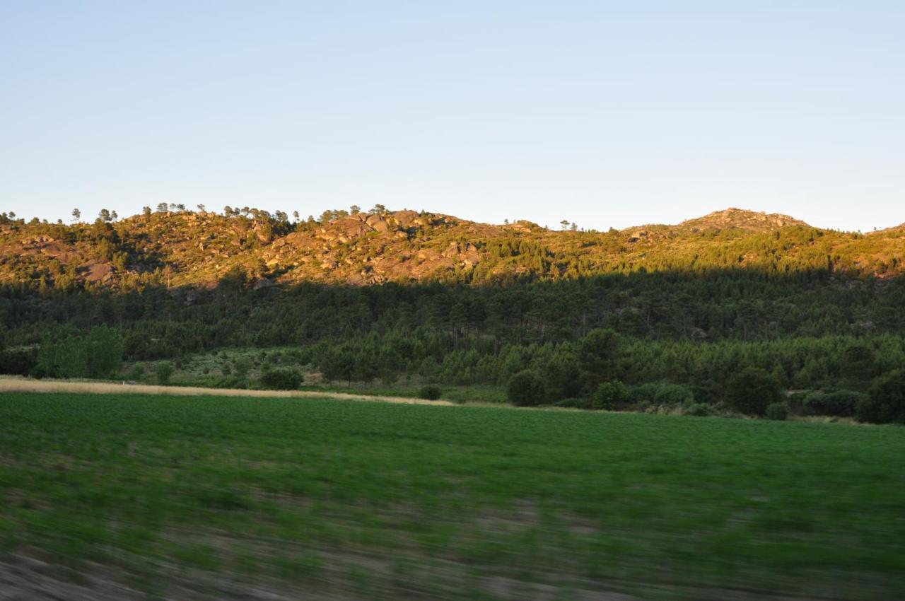 Pinheirinhos - Quinta De Sao Caetano Villa Carapito Dış mekan fotoğraf