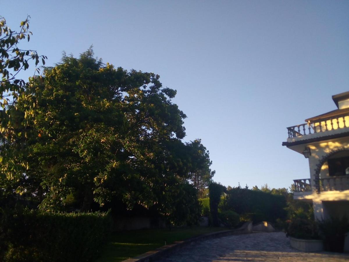 Pinheirinhos - Quinta De Sao Caetano Villa Carapito Dış mekan fotoğraf