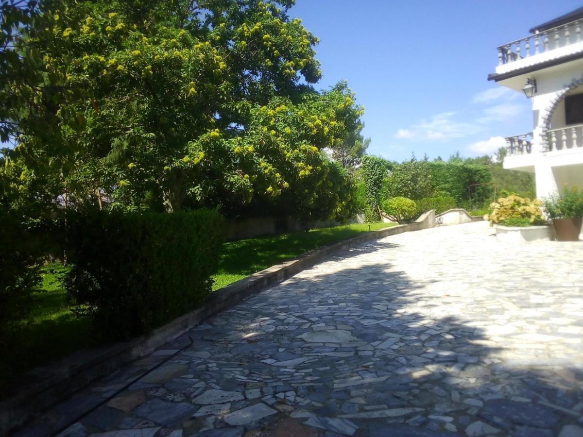 Pinheirinhos - Quinta De Sao Caetano Villa Carapito Dış mekan fotoğraf